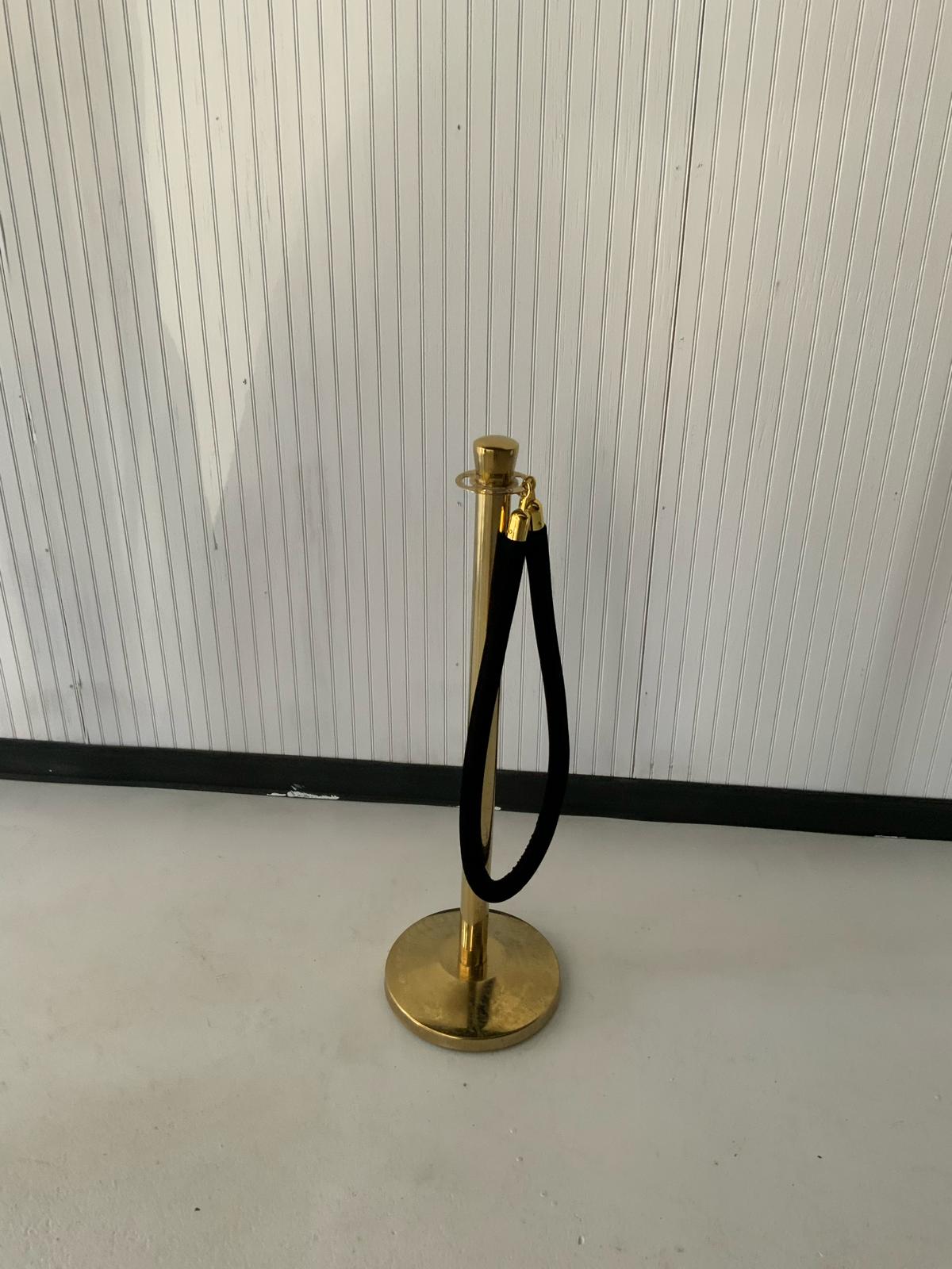 Stanchion With Black Rope